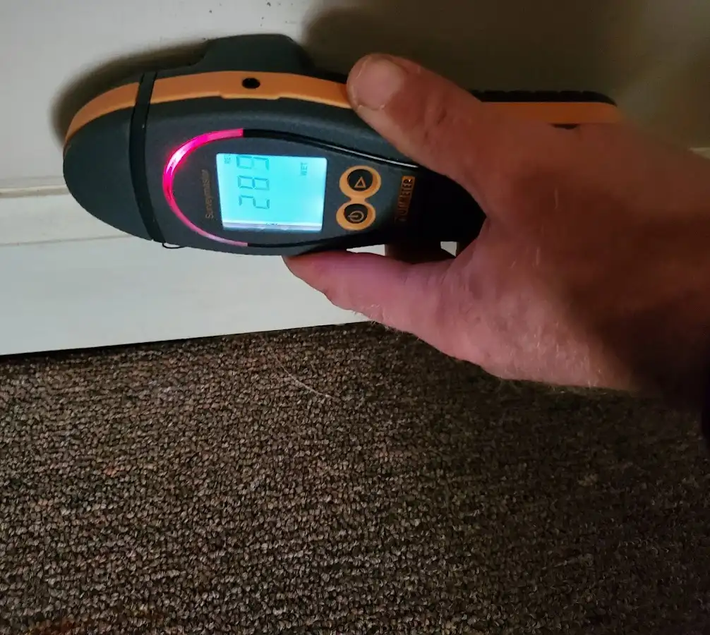 Moisture detection at baseboard during Burst Pipe Cleanup in Hawthorne